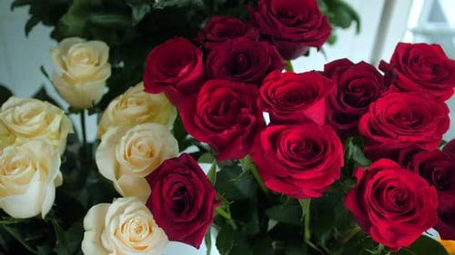 Motion Above Gorgeous Aromatic Rose Flowers in Vases