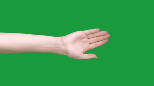 Hand Gesturing Against Green Screen Background