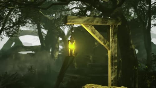 A Soft Glow Emanates From the Green Lantern Casting Light on Ancient Trees