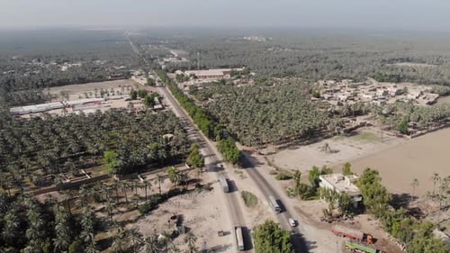 Large Date Farm Plantation Groves Located In Khairpur. Aerial Shot