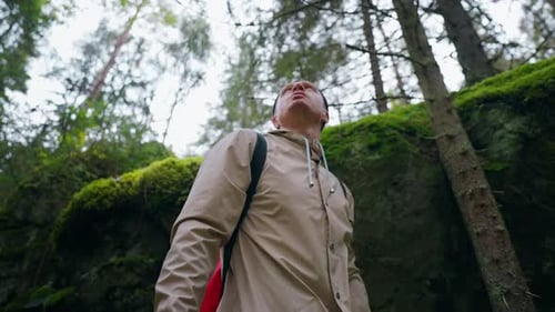 Lost In Forest Tilt Up Porträt eines männlichen Touristen, der allein im schönen Wald wandert und sich aktiv erholt