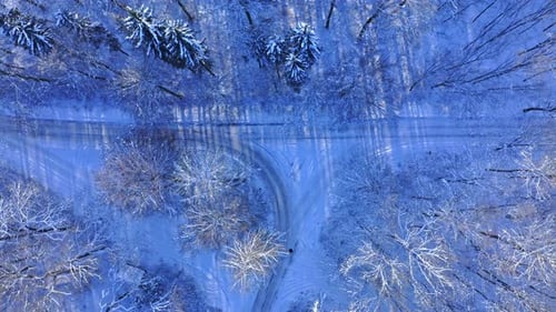 Transportation in winter. Road in snowy forest.