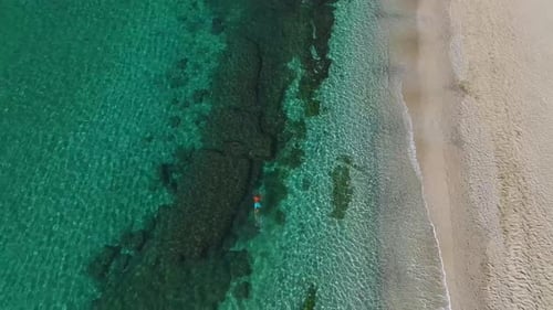 Aerial Video of a Man Swimming in the Calm Blue Sea Moving Smoothly Through the Water Under a Clear