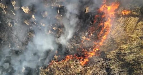 Fire in Golan Heights Aerial view