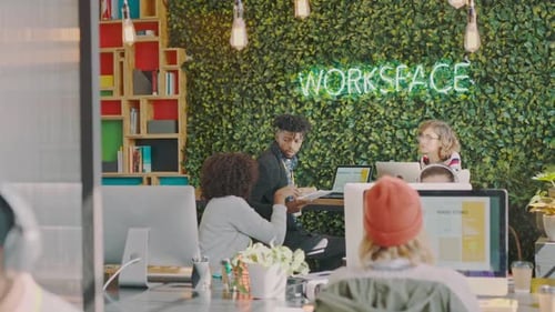 Employee, coworking workspace and startup, working business people work together at marketing agency