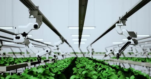 Smart Robotic Farmers Concept, Robot Farmers, Agriculture Technology, Farm Automation