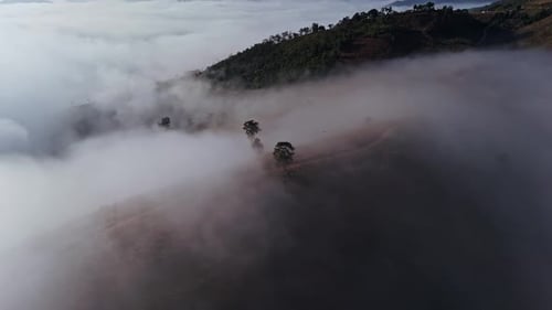 A stunning aerial perspective of morning fog drifting gently over the lush, green mountains of Mae C