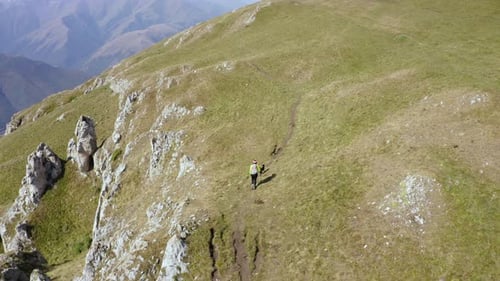 Hiker with Dog Trekking on Mountain Path Aerial View