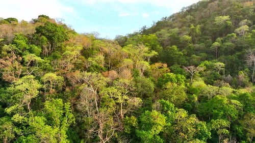 Majestic tropical forest on towering mountains by aerial view drone.