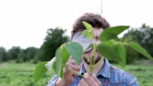 Young Adult Examining Plant with Magnifying Glass