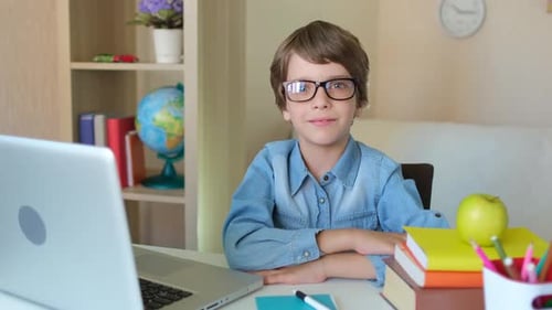 Distance Education Online Lesson Child Boy Schoolboy Using Tablet Laptop Computer for School