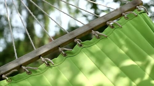 Swinging Hammock Book