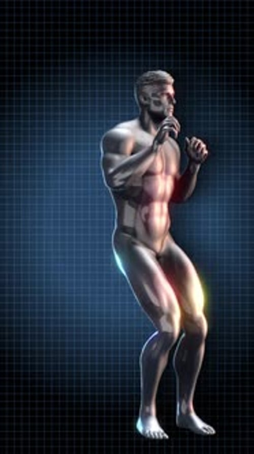 Animated 3D Male Body Scan for Health and Fitness