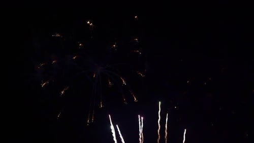 Colorful Fireworks Exploding in the Dark Night Sky