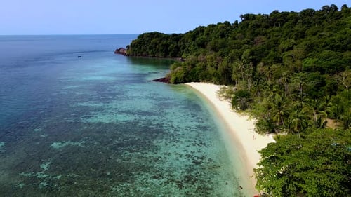 Tropical Beach and Turquoise Ocean Aerial View