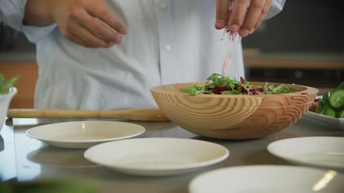 Preparing a Salad with Fresh Vegetables Baker