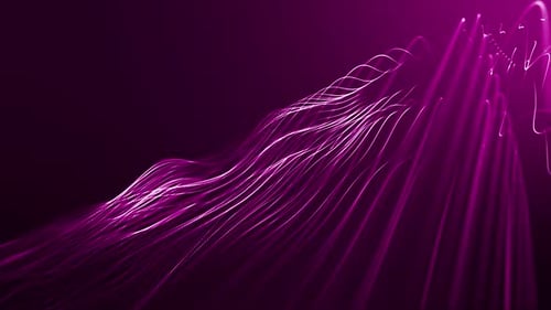 Dynamic Strings Flowing On Pink