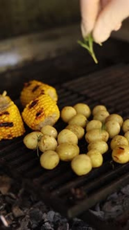 Fried young potatoes. Close up
