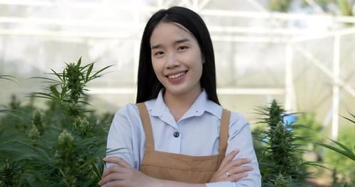 Young woman smile and arms crossed with green leaves of cannabis