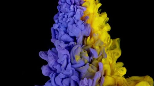 Colorful Ink Swirling in Abstract Motion on Black