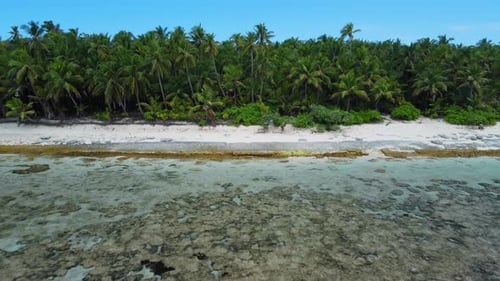 Drone View Moving Away From the Shore Maldives Island Tropical Coastline Beach with Palms Trees and