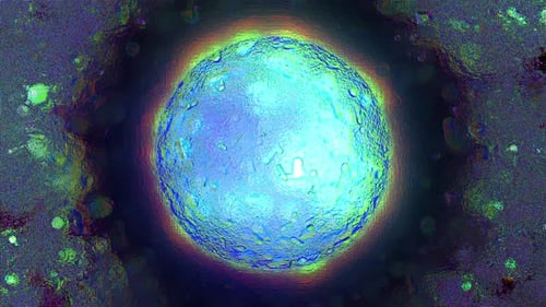 Microscope Vj Glitch Bacteria Colony