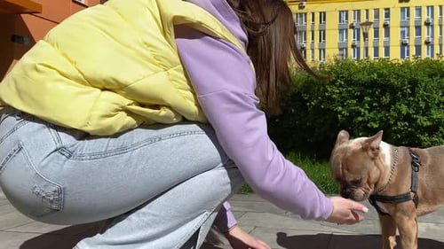 Young Woman Plays with Dog Outdoors