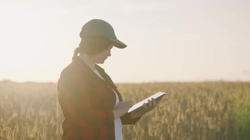 Young Adult with Tablet in Wheat Field