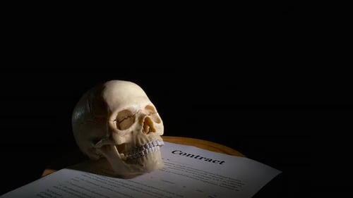 Human Skull By Contract