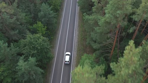 Ansicht von oben auf weißes Auto, das entlang der Straße im grünen Wald fährt