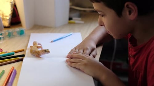 Ein Gecko ruht auf einem Notizbuch, während ein Kind mit einem Bleistift schreibt Dieser Moment spricht für die Kameradschaft