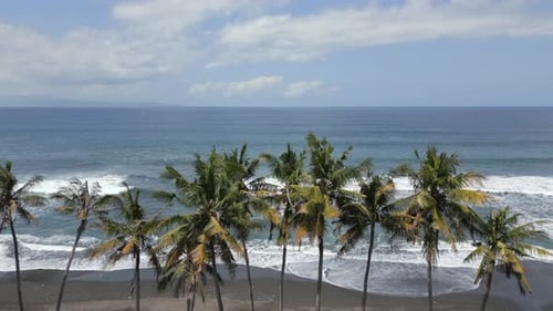 Aerial View of Volcanic Black Sand Beach with Palm Trees and Ocean Waves in Bali