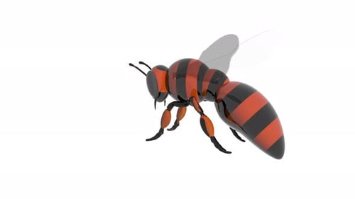 3D Animated Wasp Flying Loop