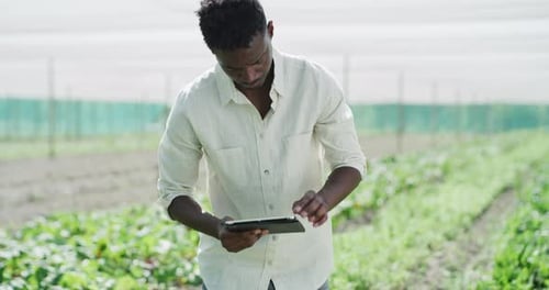 4k video footage of a handsome young man using a digital while inspecting crops at his farm