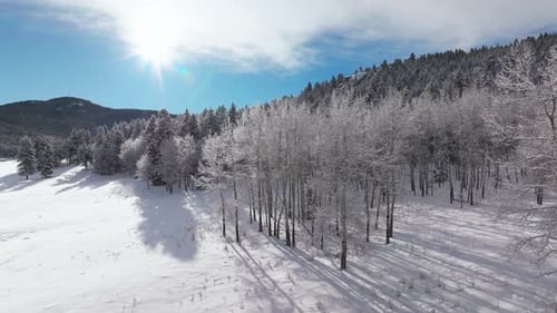 Winter Christmas wonderland frosted Rocky mountainside snowy meadow valley aerial drone Conifer Ever
