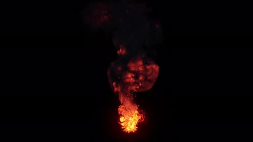 Dynamic Realistic Fire and Smoke Animation