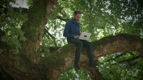 Man Working on Laptop in a Tree Branch