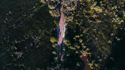 Early Morning Jogger Casting Long Shadows on a Park Pathway