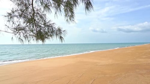 Golden sandy empty deserted beach. Slow-motion and lockdown shot