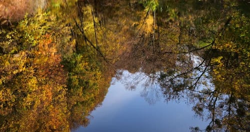 Waldsee im Herbst. Spiegelung von Bäumen im Wasser.