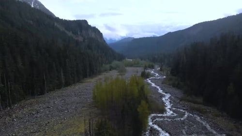 Winding River Through Lush Green Mountain Valley and Pine Forest
