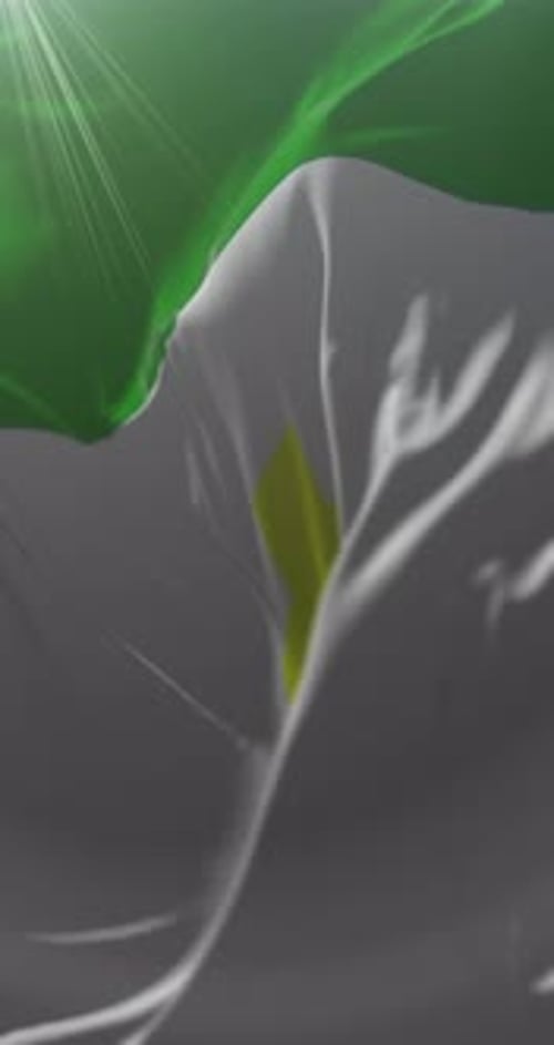 Realistic Waving Cyprus Flag Vertical Animation