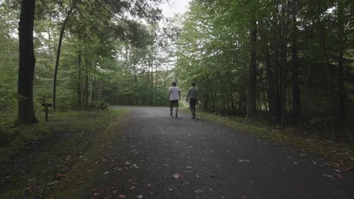People walking in a park