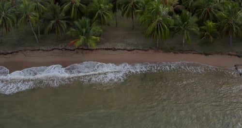 Aerial view of a magnificent landscape: an island with white beach, crystal clear sea, palm trees.