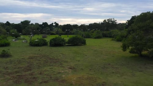 Tropical Landscape at Sunset Sri Lanka