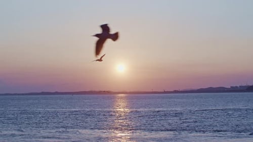 Nice, beautiful, picturesque, calm and charming sunset in front of the sea with horizon, clouds, sun