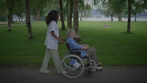 Caregiver Providing Support to a Wheelchair User in a Beautiful and Scenic Park Environment