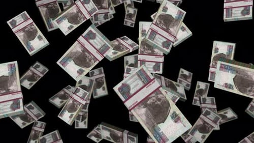 Egypt Pound 100 banknote packs falling loop