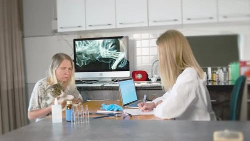 Woman Talking to Veterinarian About her Cat