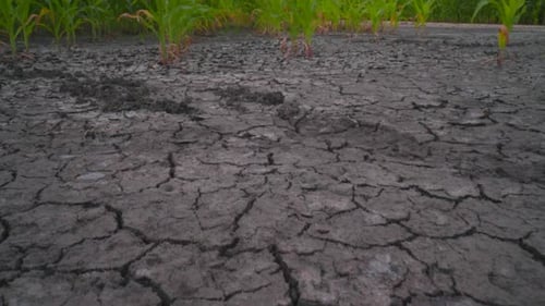 Dry Earth Wind Turbine Ecology